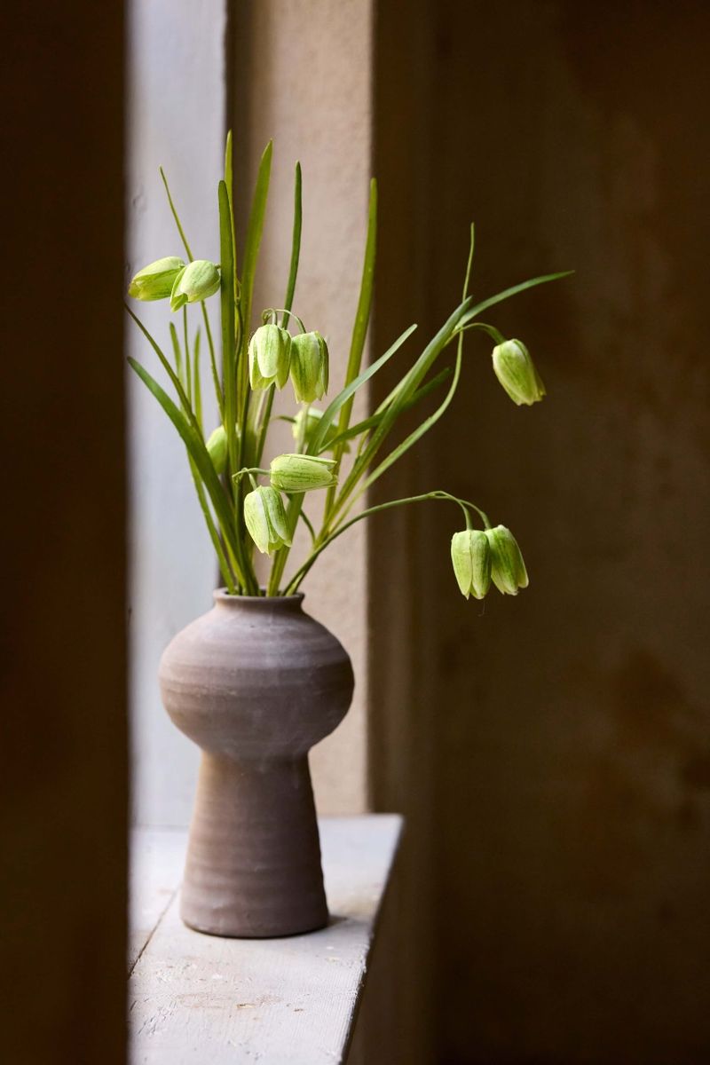 Fritillaria 50 cm, Grønn