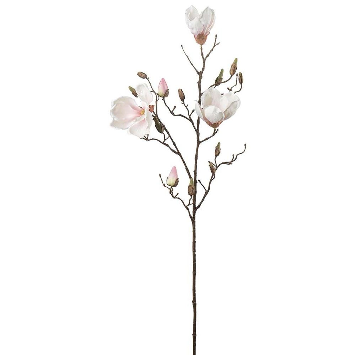 Magnolia kvist 88 cm - Rosa