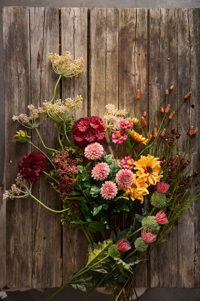 Hovedbilde Coreopsis 57 cm, Rosa