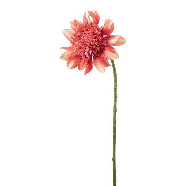 Hovedbilde Dahlia 62 cm, Korall