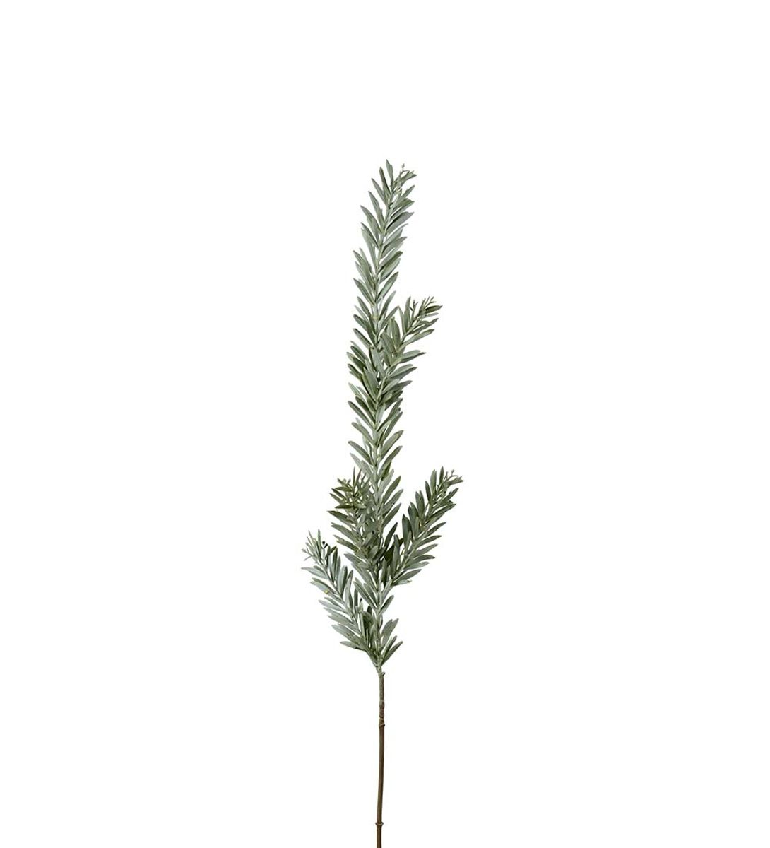 Grønngrå kvist, 90 cm