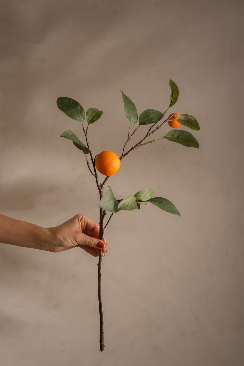 Appelsinkvist 60 cm