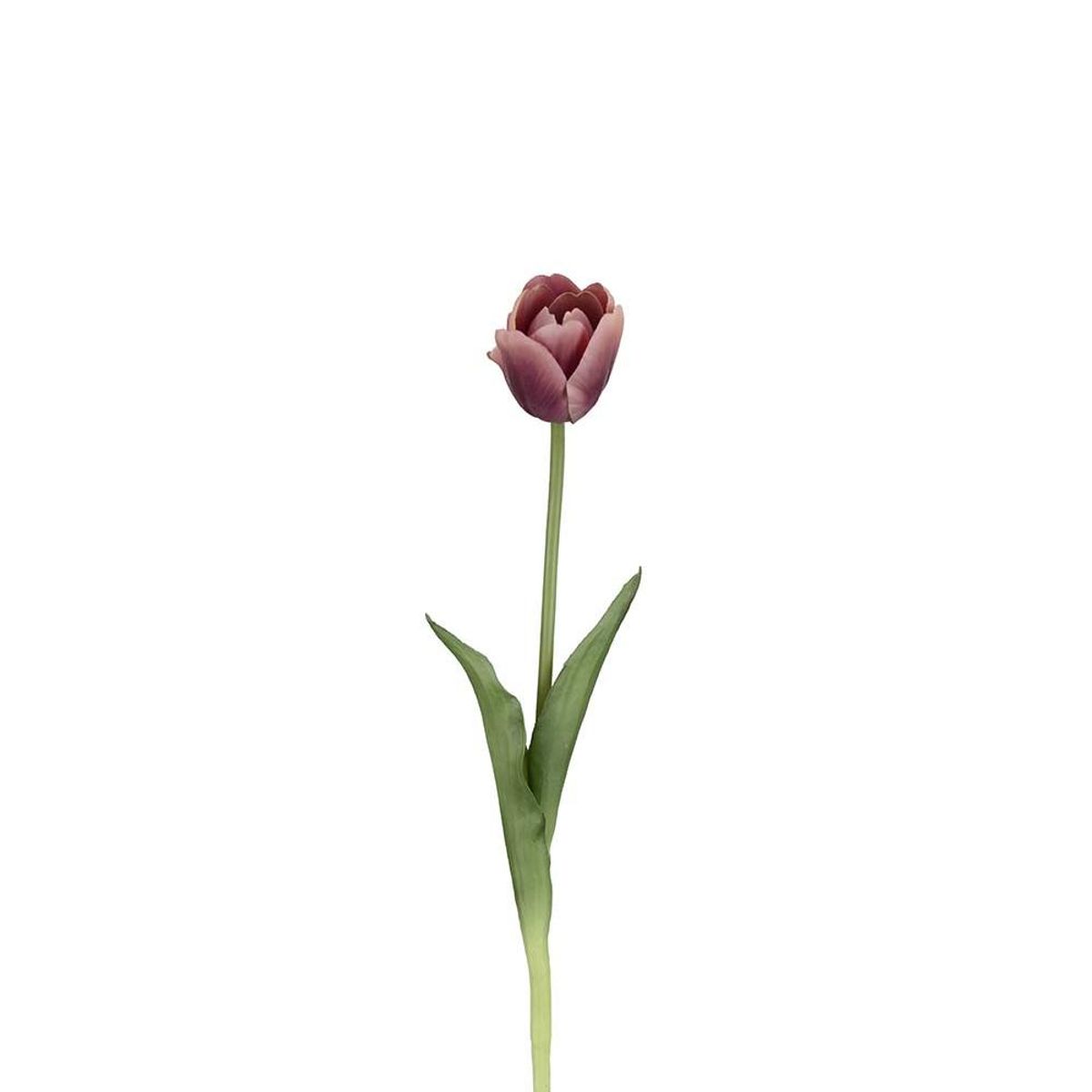 Tulipan 45 cm, Lilla